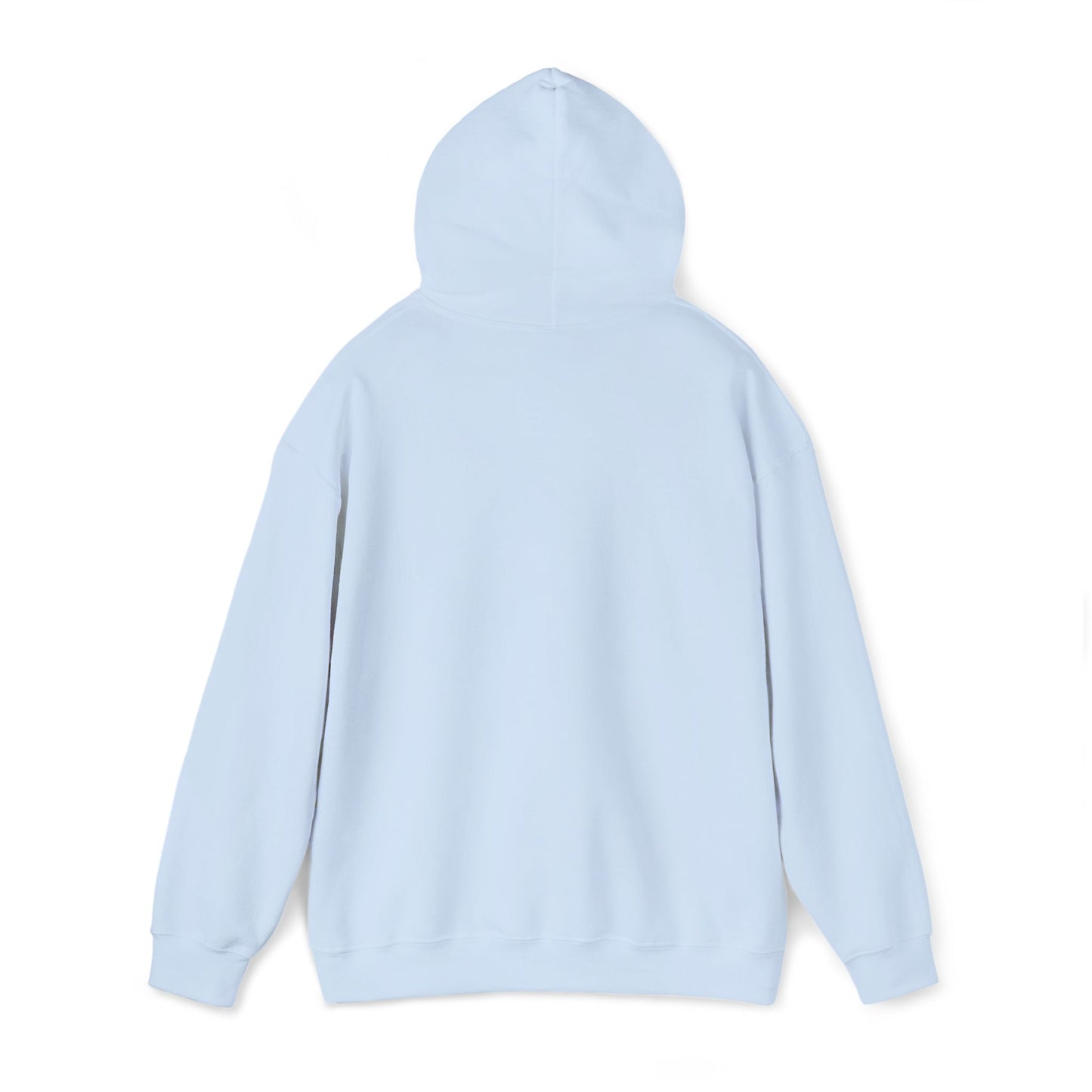 Embroidered Be The Light Hoodie
